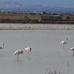 דירה Playa Bonita *